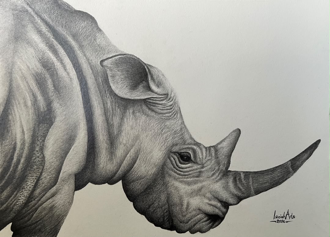 Realistic African Rhino artwork by Ugandan artist Isaiah Arts UG